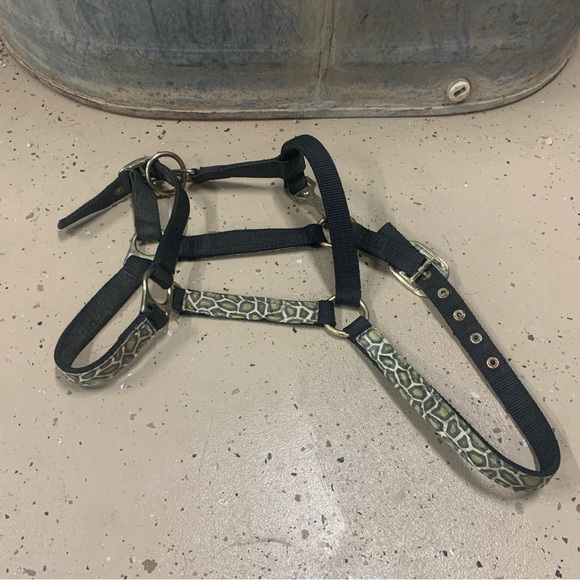 Horse halter - Picture 3 of 4